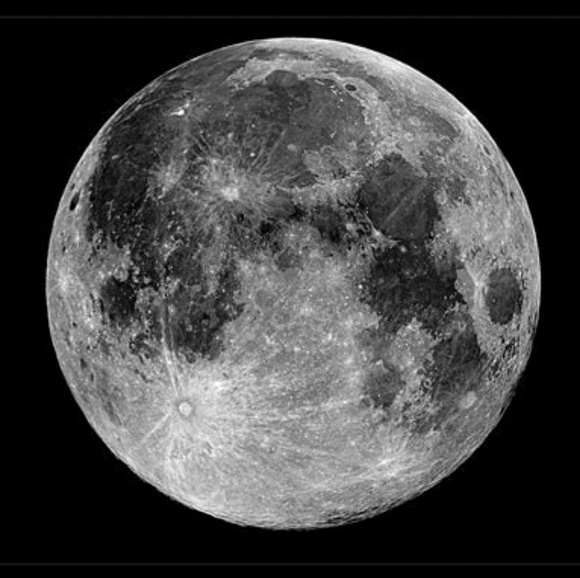 Meet your Posher, Lexi - Picture 1 of 1